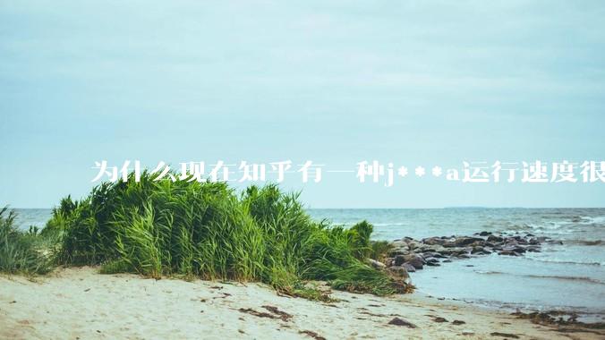 为什么现在知乎有一种j***a运行速度很慢，很吃***的论调？