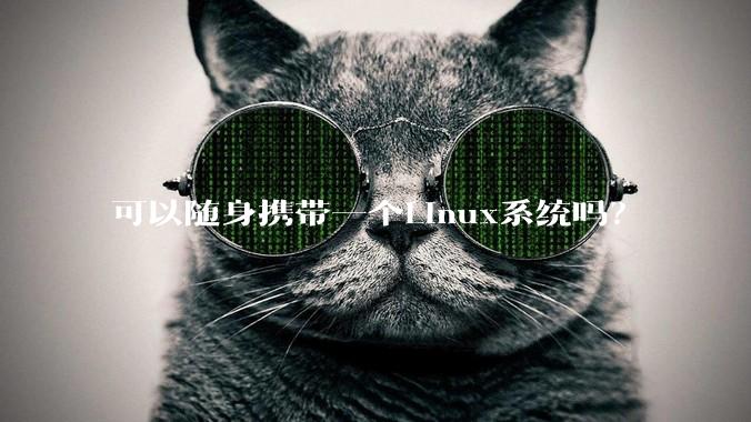 可以随身携带一个Linux系统吗？
