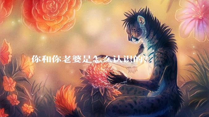 你和你老婆是怎么认识的？